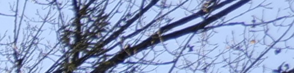 Panasonic Lumix S 18mm F1.8