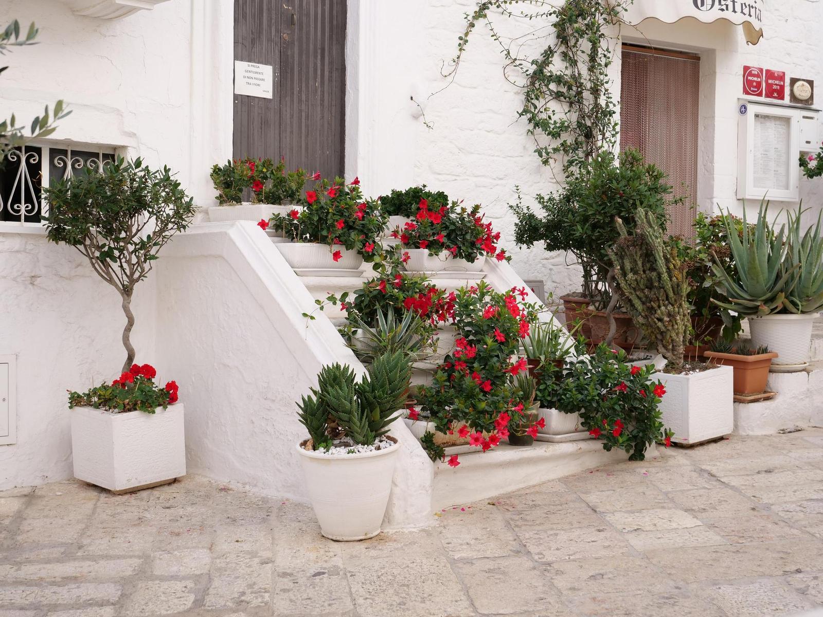 Panasonic Lumix GH5 II: nejen pro vloggery