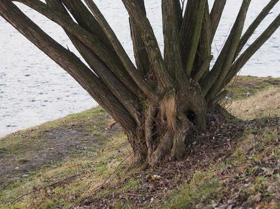 Olympus OM-D E-M5: elegantní fotokladivo