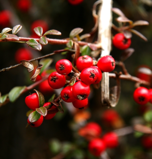 Zrcadlovka a já: Fotografování podle Feng Shui