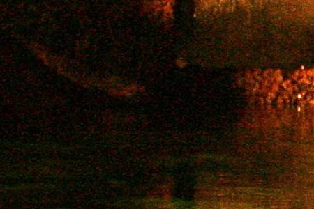 Úpravy fotografií v PC, 10.díl - odstraňování šumu