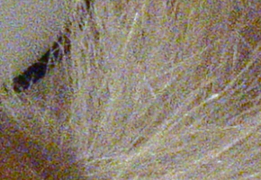 Sony Cyber-shot RX100: terminátor zrcadlovek