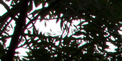 Canon EF-S 18-55mm F3,5-5,6 IS STM