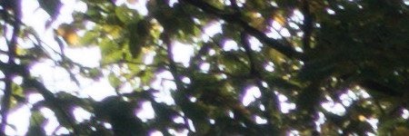 Sony Cyber-shot RX100 III (RX100M3): superSony