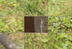 Panasonic Lumix FZ300: opět na špici