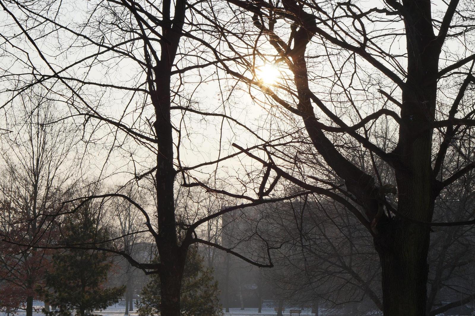 Sony E 1.8/50mm OSS (SEL-50F18)