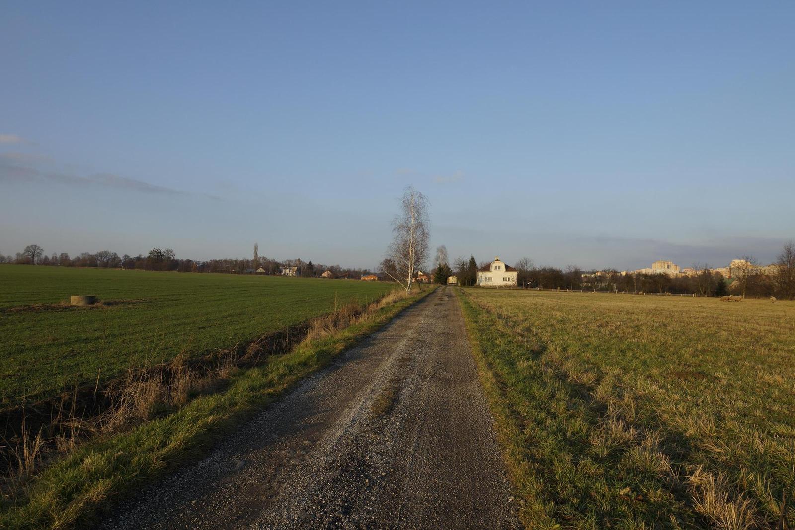 Sony SLT-A77: megapixelový přeborník