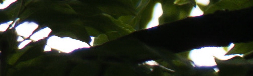 Panasonic Lumix S Pro 70-200mm F4 O.I.S.