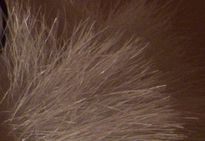 Nikon Coolpix P330: do vyšších sfér