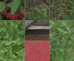 Panasonic Lumix G Vario 100-300mm F4-5,6