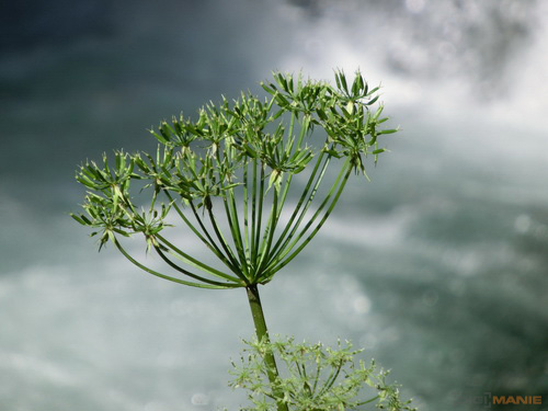 Casio EXILIM ZR100: kapesní formule