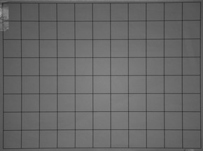 Nikon AF-S DX NIKKOR 55-200mm f/4-5.6G IF-ED VR