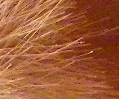 Pentax X70: neobyčejně univerzální kliďas