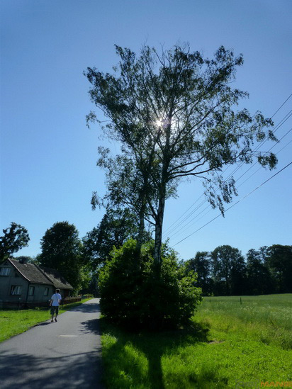 Panasonic Lumix TZ30: pokračovatel slavného rodu?