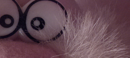 Nokia Lumia 1020 vs. 808 PureView