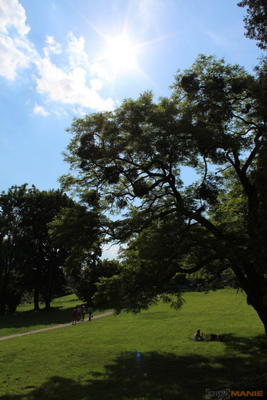 Canon EOS 600D: pokračování rodové linie