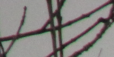 Canon PowerShot SX160 IS: více megapixelů i zoomu