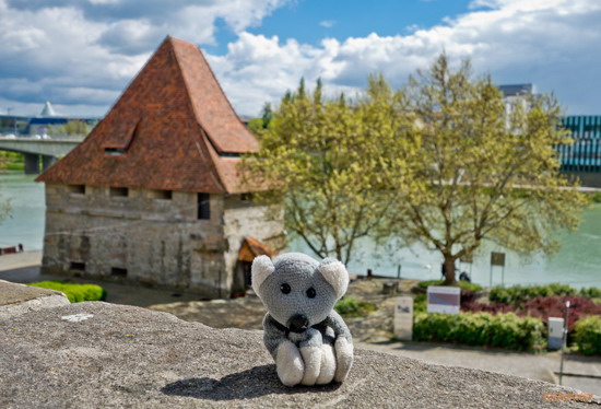 Koala cestuje: Slovinsko 1. díl (Maribor a Lublaň)