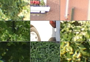 Nikon Coolpix B700: přírodovědec