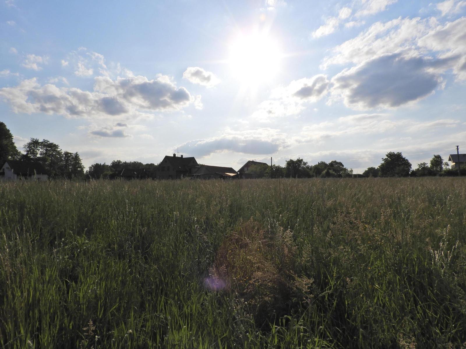 Nikon Coolpix B700: přírodovědec