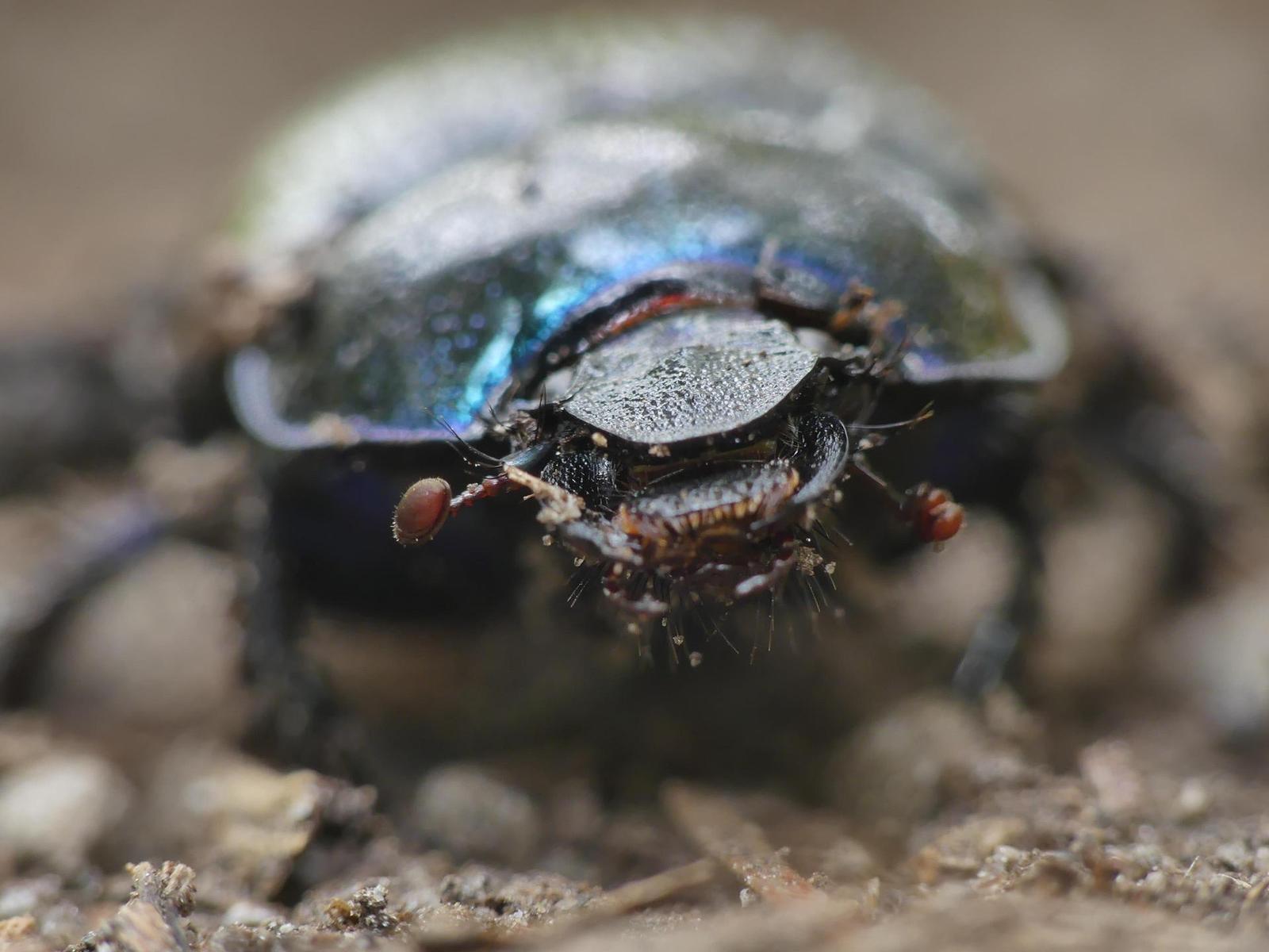 Panasonic Lumix FZ300: opět na špici