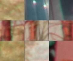 Megatest ultrazoomových objektivů