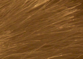 Sony Alpha SLT-A35: úspěšně proti zrcadlovkám