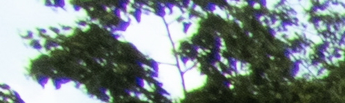 Nikon Coolpix B700: přírodovědec