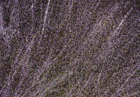 Olympus PEN E-P3: král všech PENů