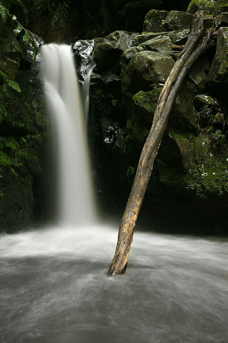 Azorské ostrovy – svátek fotografie: II.