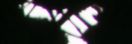 Nikon AF-S DX NIKKOR 55-200mm f/4-5.6G IF-ED VR