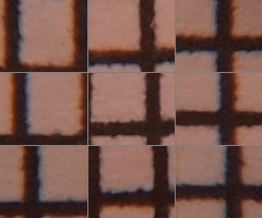 Olympus M.Zuiko Digital 14-150 mm F4-5,6