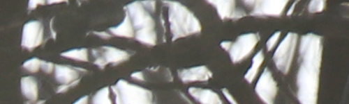 Canon EF-S 18-135mm f/3.5-5.6 IS Nano USM