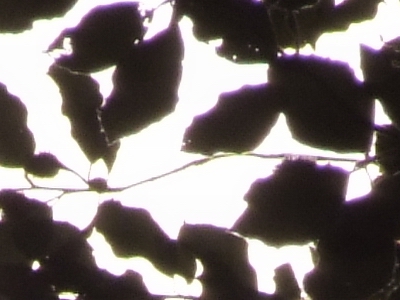 Fujifilm S100FS: jde zrcadlovkám po krku