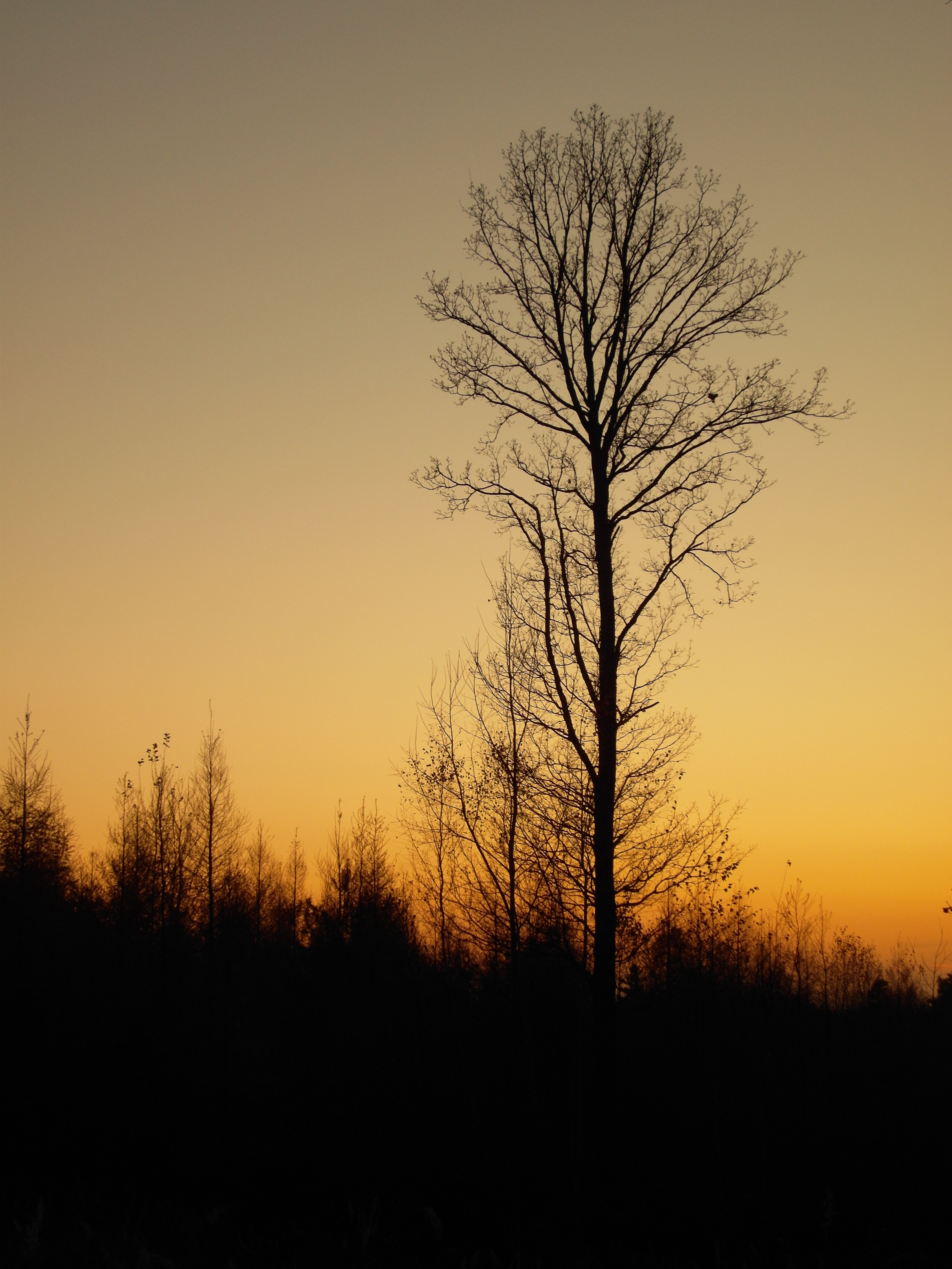 Samsung NV100HD: lovec megapixelů