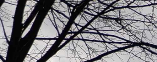 Panasonic Leica DG Vario-Summilux 10-25mm F1.7 ASPH.