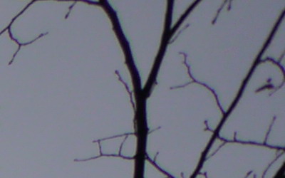 Panasonic LUMIX G VARIO 7-14mm F4.0