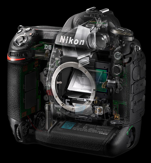 Full frame zrcadlovka Nikon D5 se 4K videosekvencemi