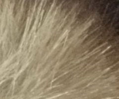 Sony Cyber-shot WX5: kompaktní klenot