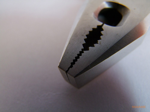 Fujifilm S100FS: jde zrcadlovkám po krku