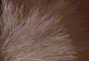 Olympus Stylus XZ-2: jednoduše skvělý