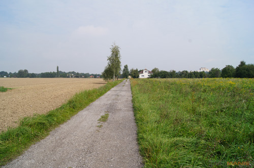 Sony SAL-1855 (DT 18-55mm F3,5-5,6 SAM)