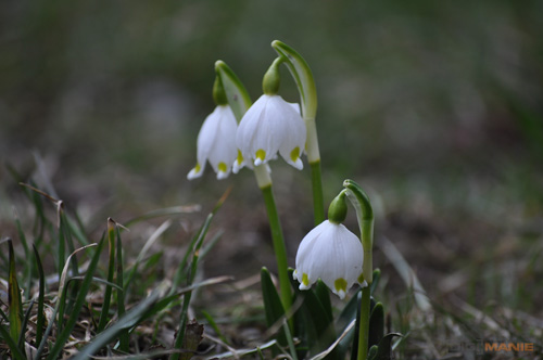 Dva objektivy nebo jeden ultrazoom?