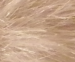 Olympus FE-370: stabilní zoom za hubičku