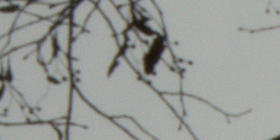 Sony SAL-18250 (DT 18-250mm F3,5-6,3)