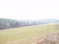 Olympus Camedia C-470 Zoom: Americký D-590