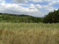 Acer CP-8660: zajímavý rebrand