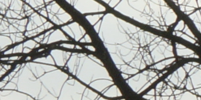 Sony SAL-70400G (70-400mm F4-5,6 SSM G)