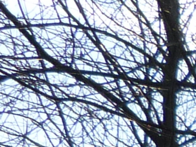 Panasonic Lumix FZ45 a FZ100: na vrcholu