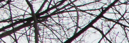 Canon PowerShot G1 X Mark II: významné zlepšení